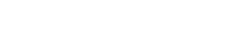 ASLAN LIQUId roofing